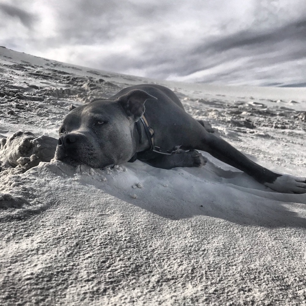 Meet your Posher, Jenny